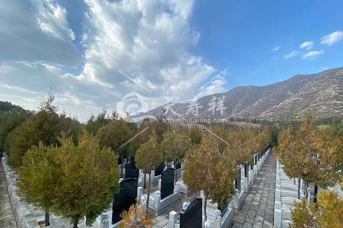 延庆九龙山陵园-北京天寿祥墓地网