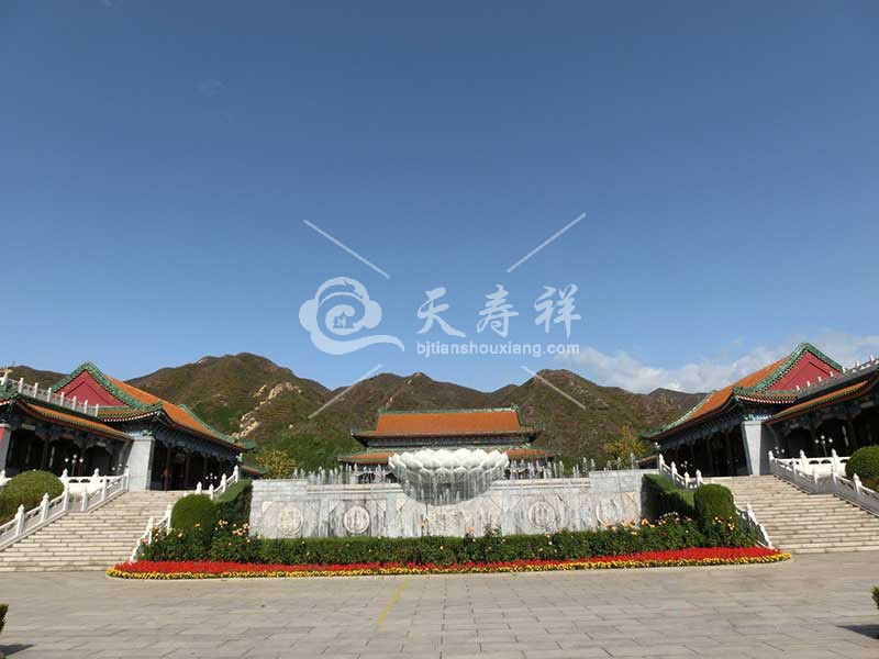 1641342730119378.jpg 1584689142128.jpg