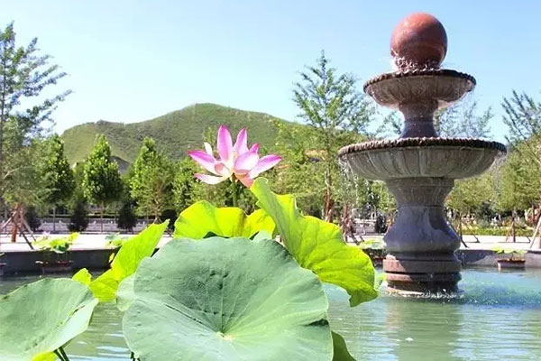 20220105/e7748ed95faf841aea9a500f6eab9b85.jpg 20220105/e7748ed95faf841aea9a500f6eab9b85.jpg