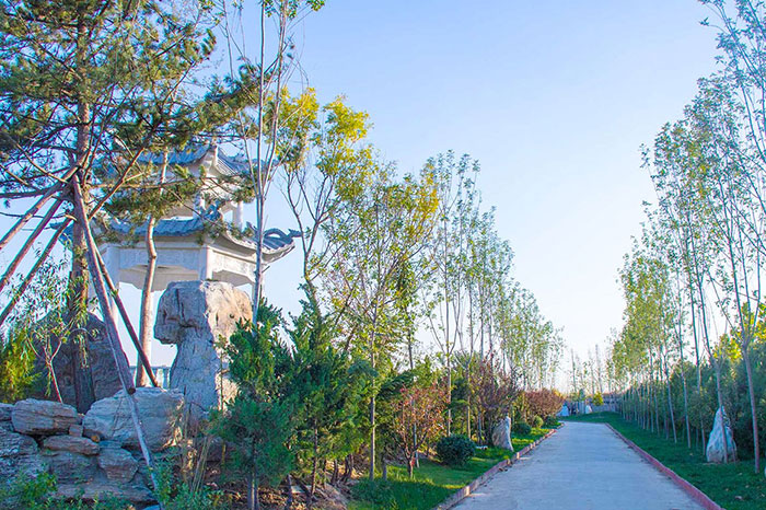 61de3a46e0698.jpg 园区道路.jpg