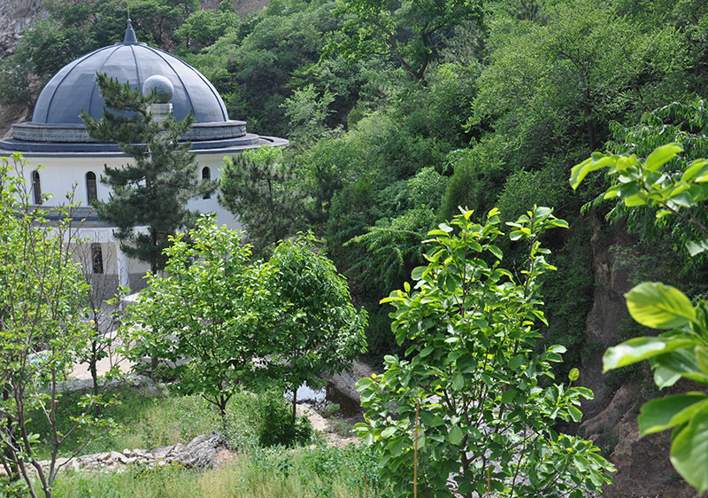 61e0dbc452c9d.jpg 1584782993108.jpg