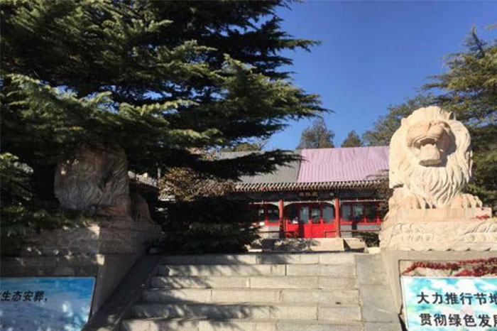 61e7817007ee5.jpg 04-700-466.jpg