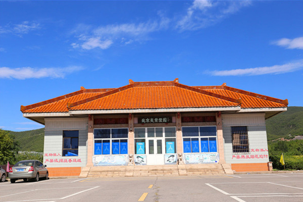 61ea23cd27b47.jpg 01-600-400.jpg