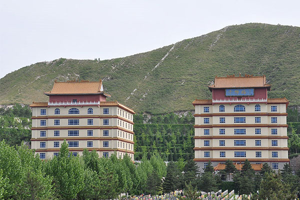 61ef60c367d0d.jpg 06.jpg