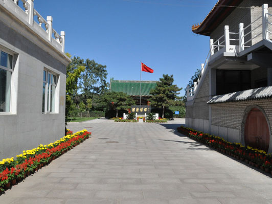 620485330b252.jpg 1584684865747.jpg