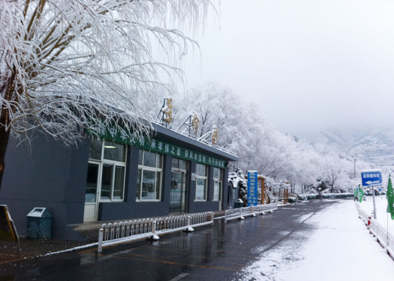 6209c3bf43b18.jpg 1584775531491.jpg