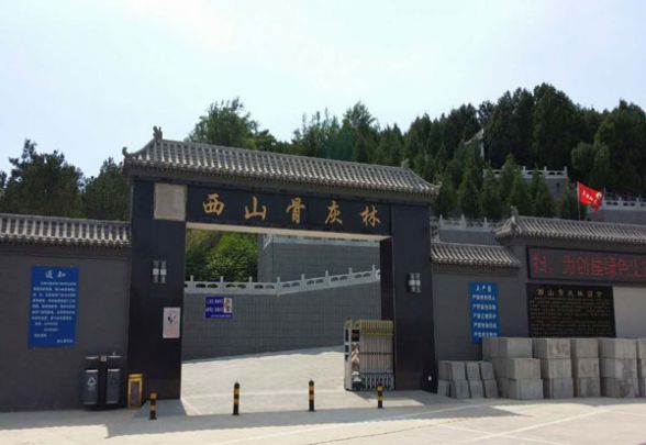 621450a0298a3.jpg y_5ef6a6472035f.jpg