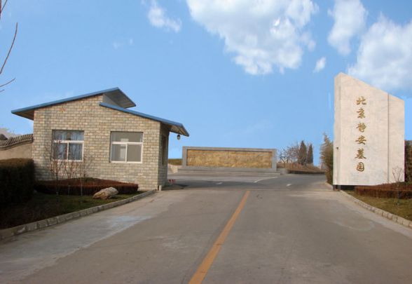 6215a6f724fcd.jpg y_5ef16780c802f.jpg