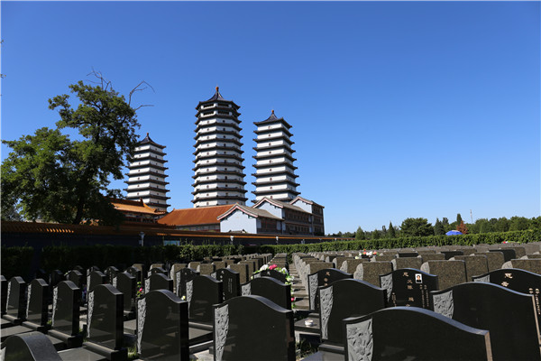 6216fd18e667c.jpg 4.jpg