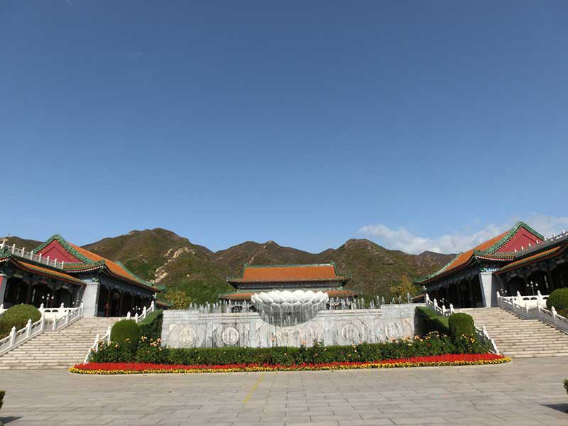 622947f52d8b9.jpg 1584689142128.jpg