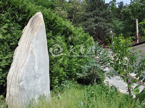 九公山墓地 九公山墓地