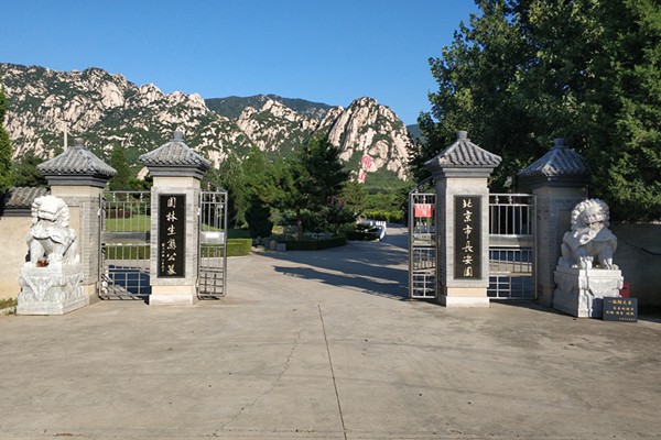 6237d8ab39942.jpg 1.jpg