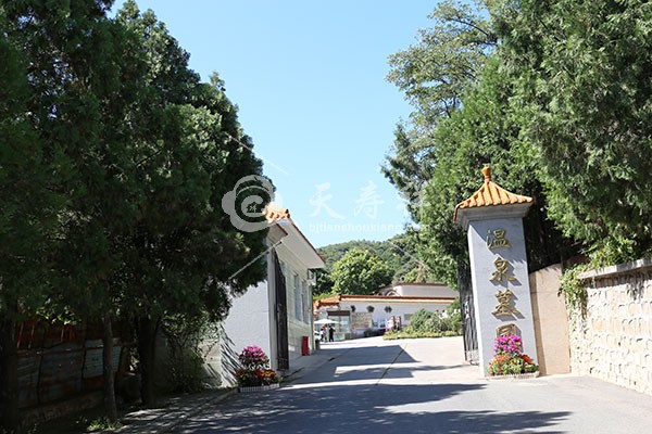 温泉墓园 温泉墓园