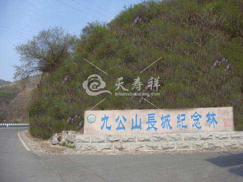 九公山纪念林 九公山纪念林