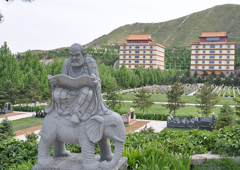 626b3a1e7fe23.jpg 1585028244329.jpg