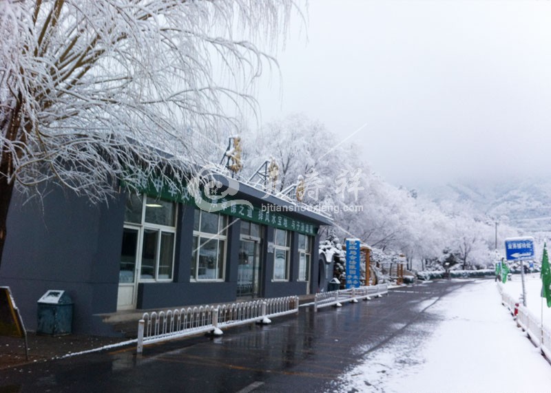 景仰园公墓 景仰园公墓