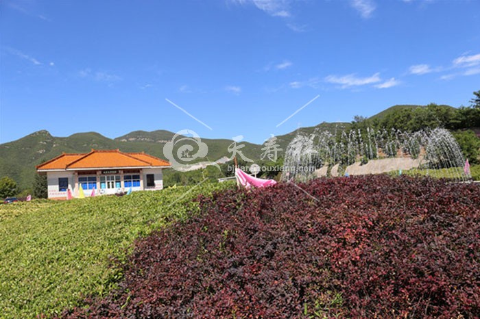 炎黄陵园 炎黄陵园