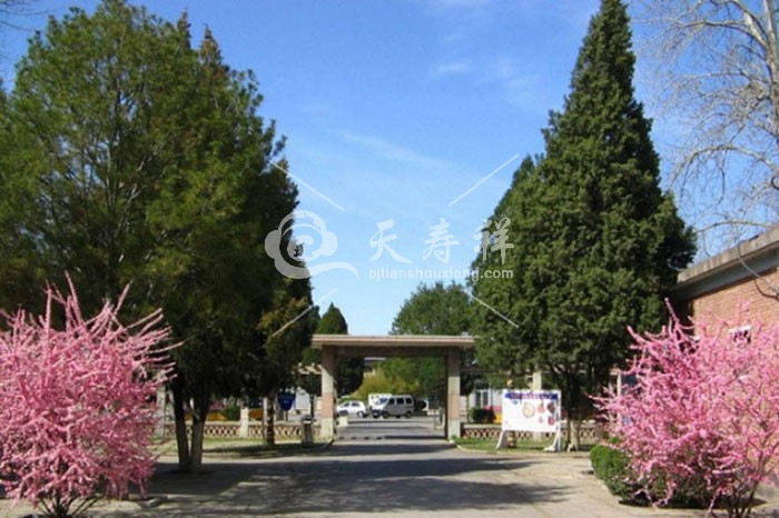 潮白陵园 潮白陵园