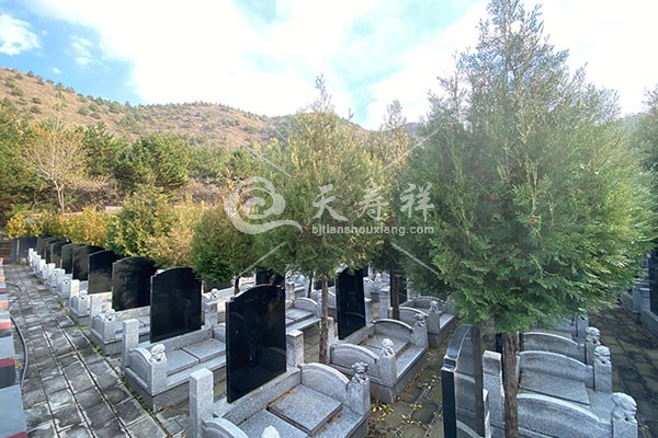 九龙山生态陵园 九龙山生态陵园