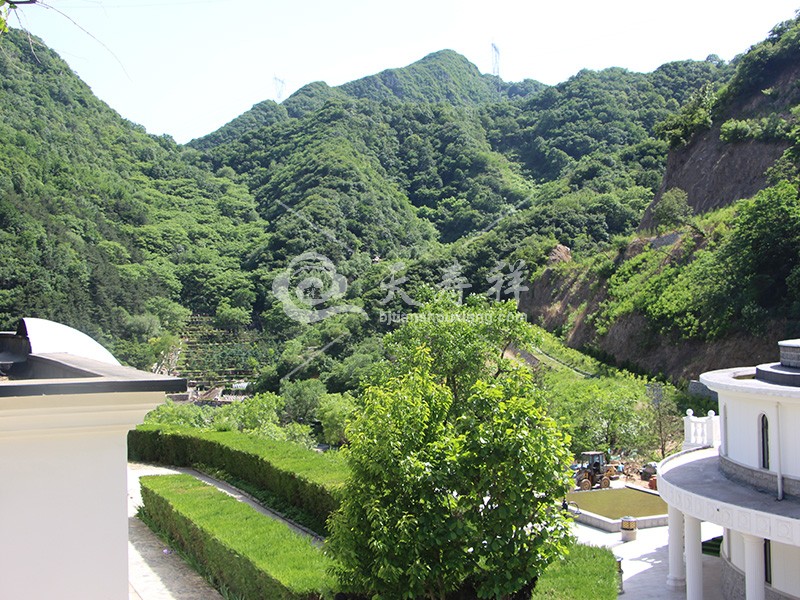 九公山长城纪念林 九公山长城纪念林