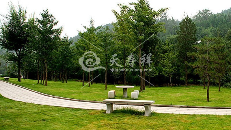 景仰园陵园 景仰园陵园