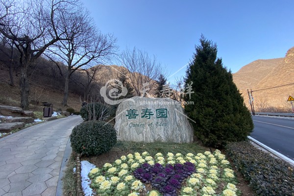 九公山长城纪念林 九公山长城纪念林