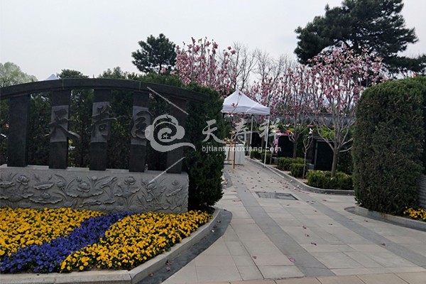 天寿陵园 天寿陵园