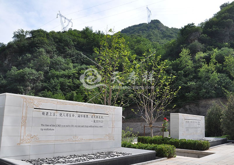 九公山长城纪念林 九公山长城纪念林