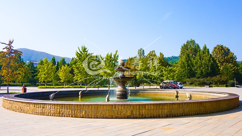 1657761328289936.jpg 1569811554.jpg