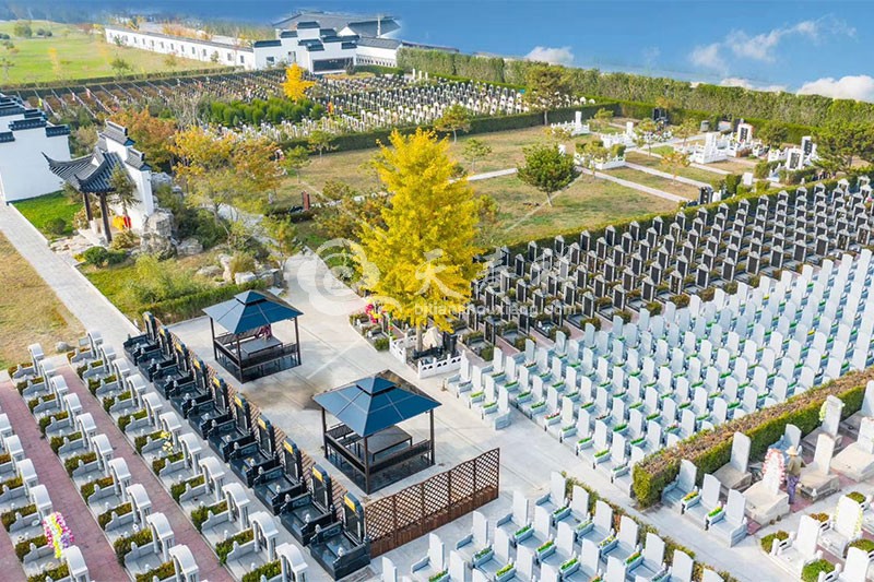 1658107707218171.jpg 1622858922803405.jpg