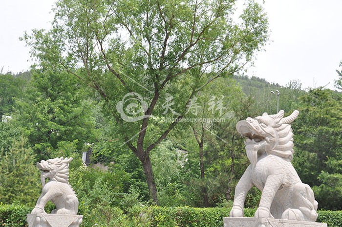 景仰园骨灰林 景仰园骨灰林