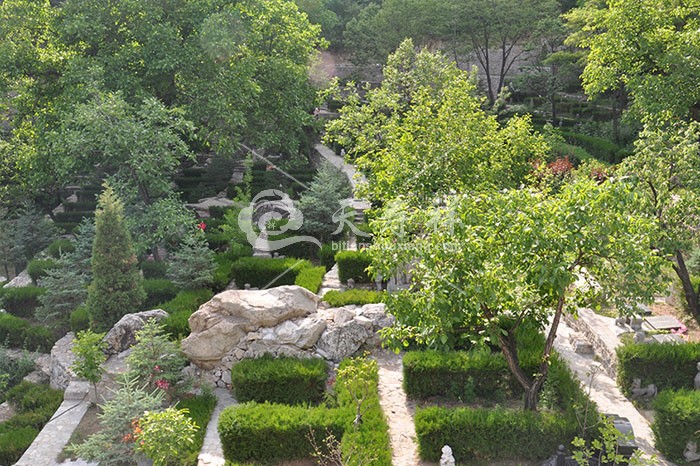 九公山长城纪念林 九公山长城纪念林