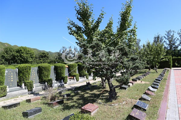 天寿陵园 天寿陵园