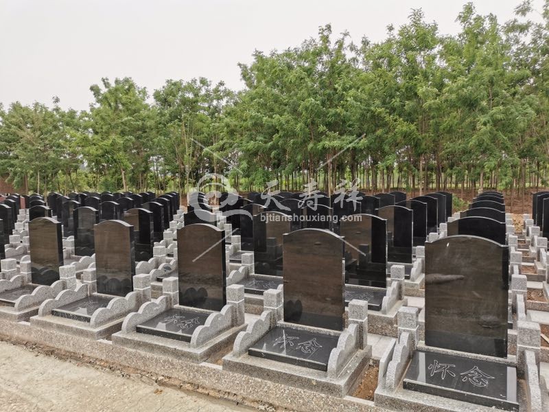 施孝生态文化陵园 施孝生态文化陵园