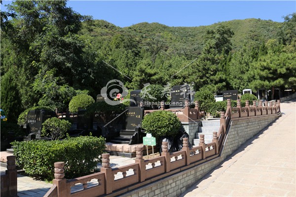 温泉墓园 温泉墓园