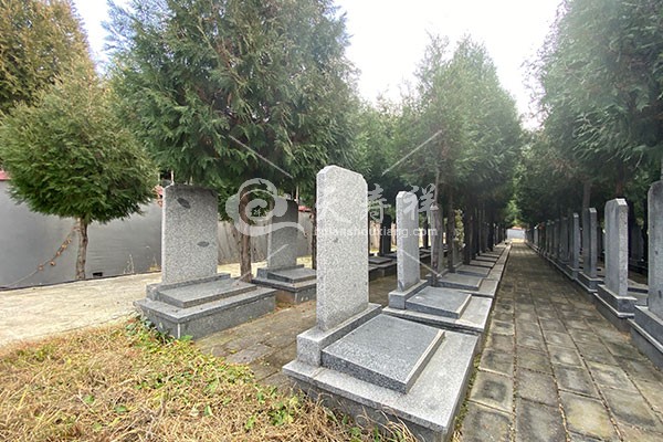 九龙山生态陵园