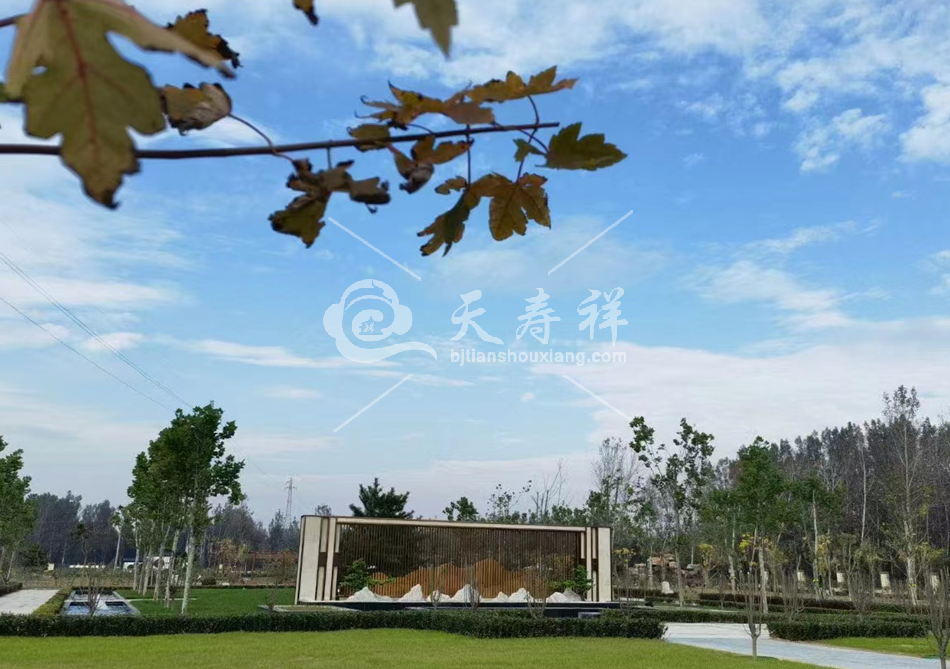 至善园公墓 至善园公墓