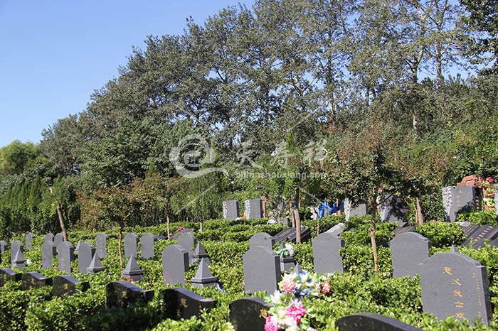 外侨公墓 外侨公墓