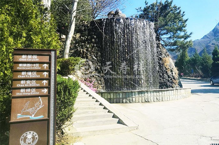 景仰园骨灰林 景仰园骨灰林