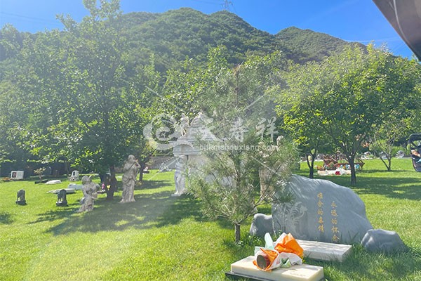 九公山长城纪念林 九公山长城纪念林