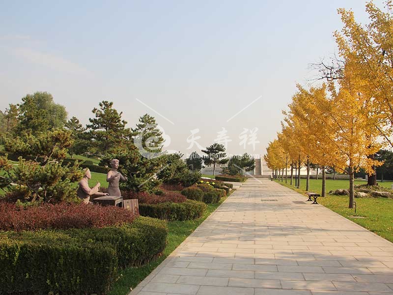 天寿陵园 天寿陵园