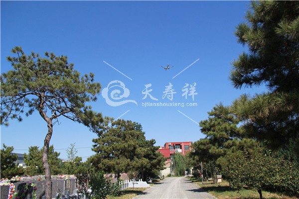 朝阳陵园 朝阳陵园